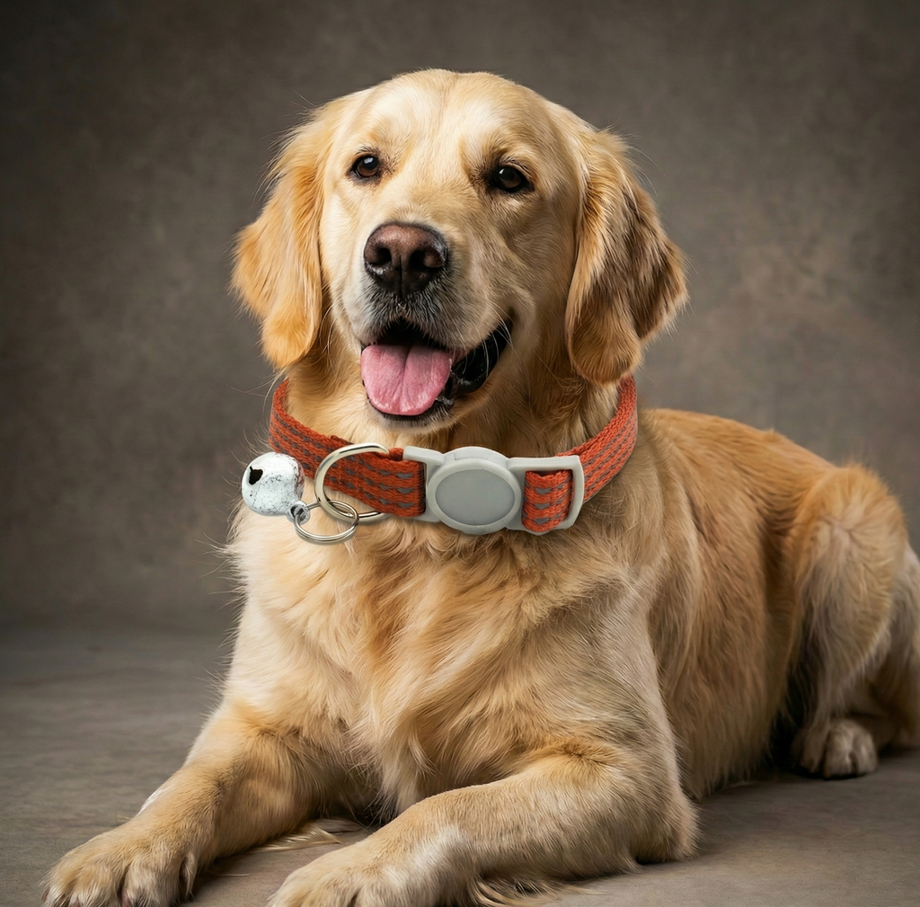 Balade Carillon Bloom